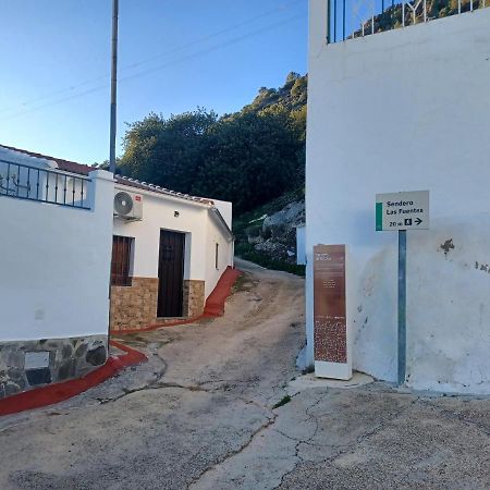 Casa Diego. Algodonales Dış mekan fotoğraf