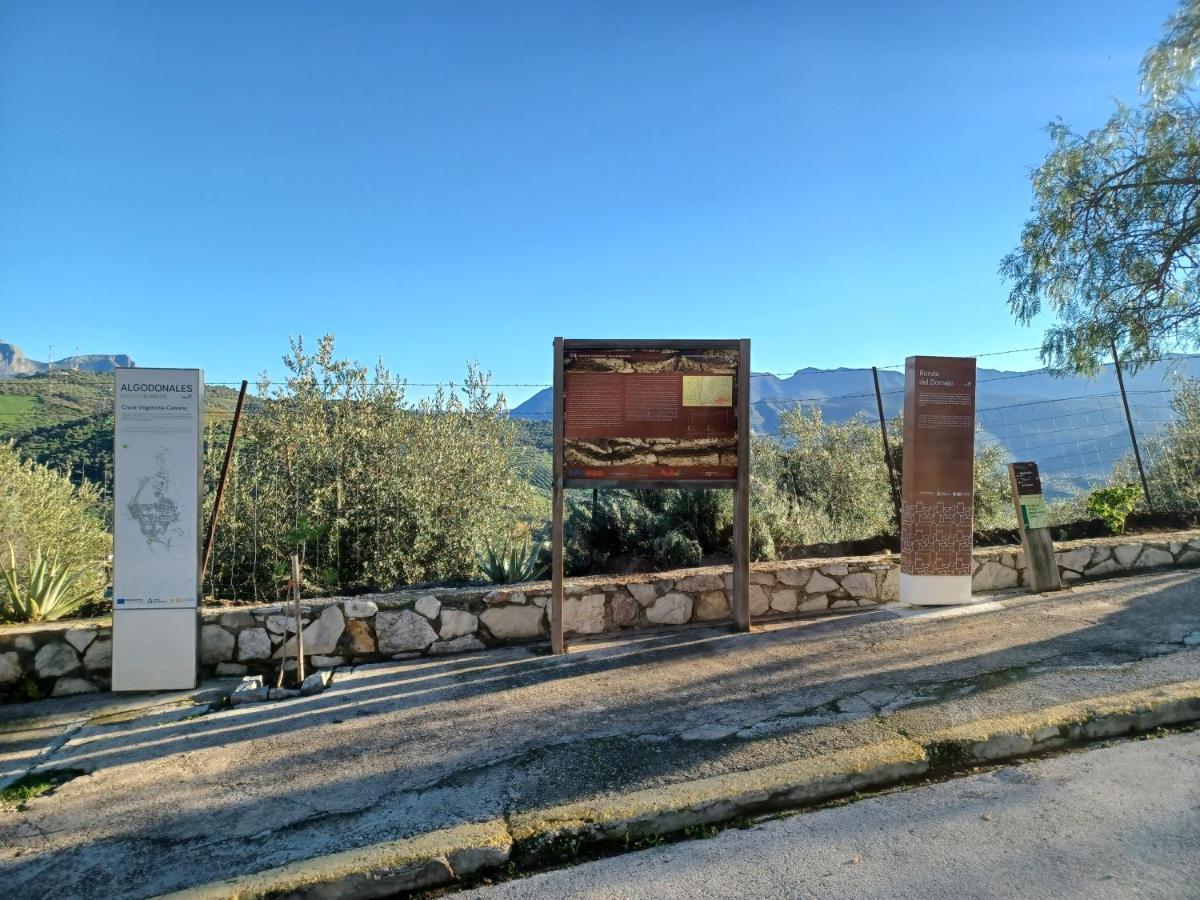 Casa Diego. Algodonales Dış mekan fotoğraf